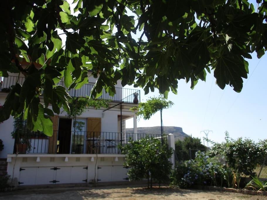 فيلا Casa La Higuera تشيلالا المظهر الخارجي الصورة