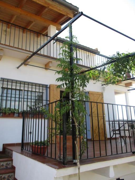 فيلا Casa La Higuera تشيلالا المظهر الخارجي الصورة