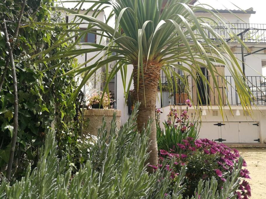 فيلا Casa La Higuera تشيلالا المظهر الخارجي الصورة