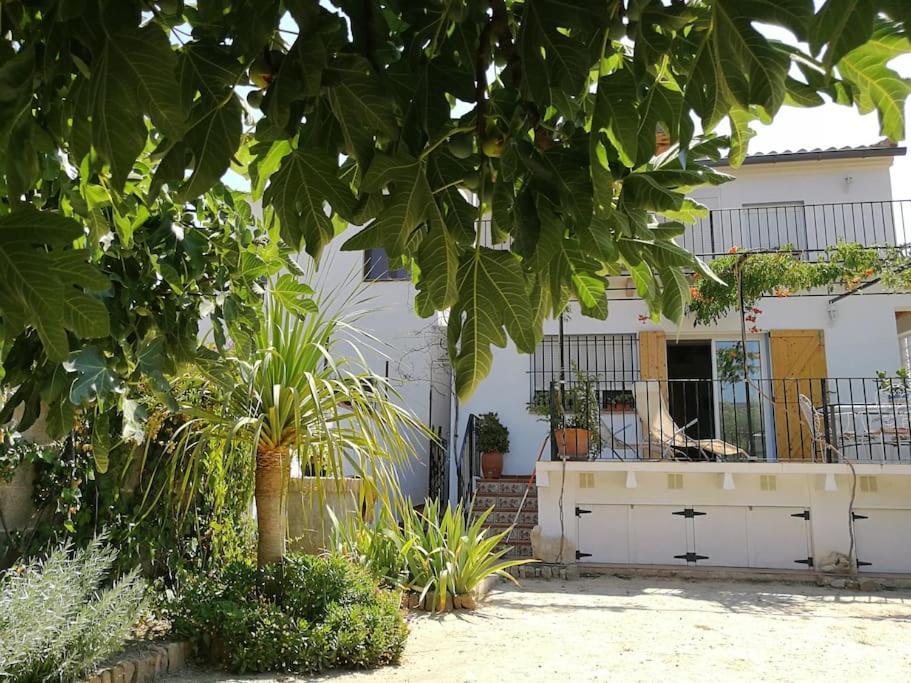 فيلا Casa La Higuera تشيلالا المظهر الخارجي الصورة