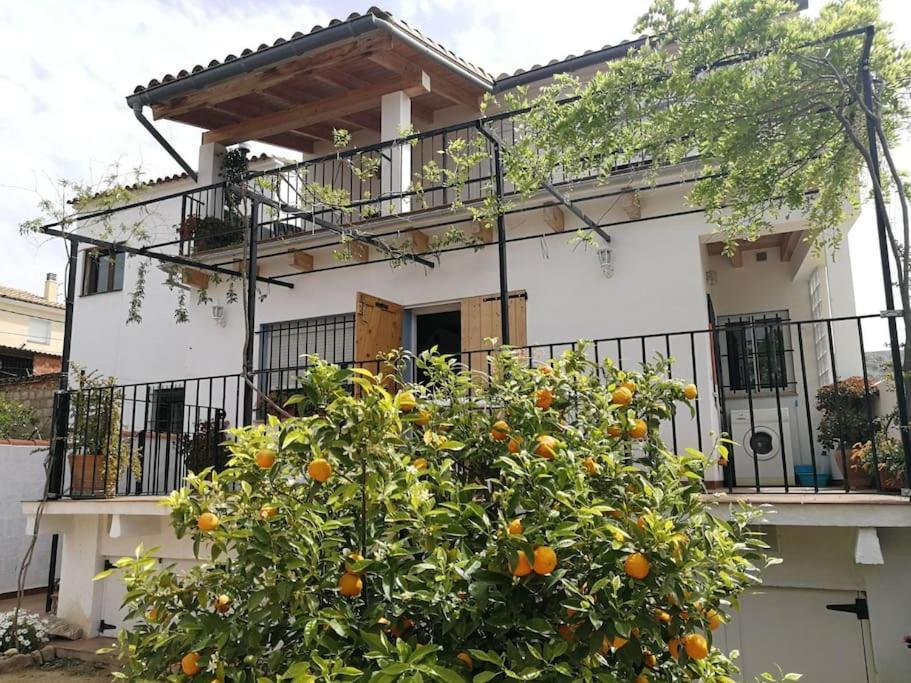 فيلا Casa La Higuera تشيلالا المظهر الخارجي الصورة